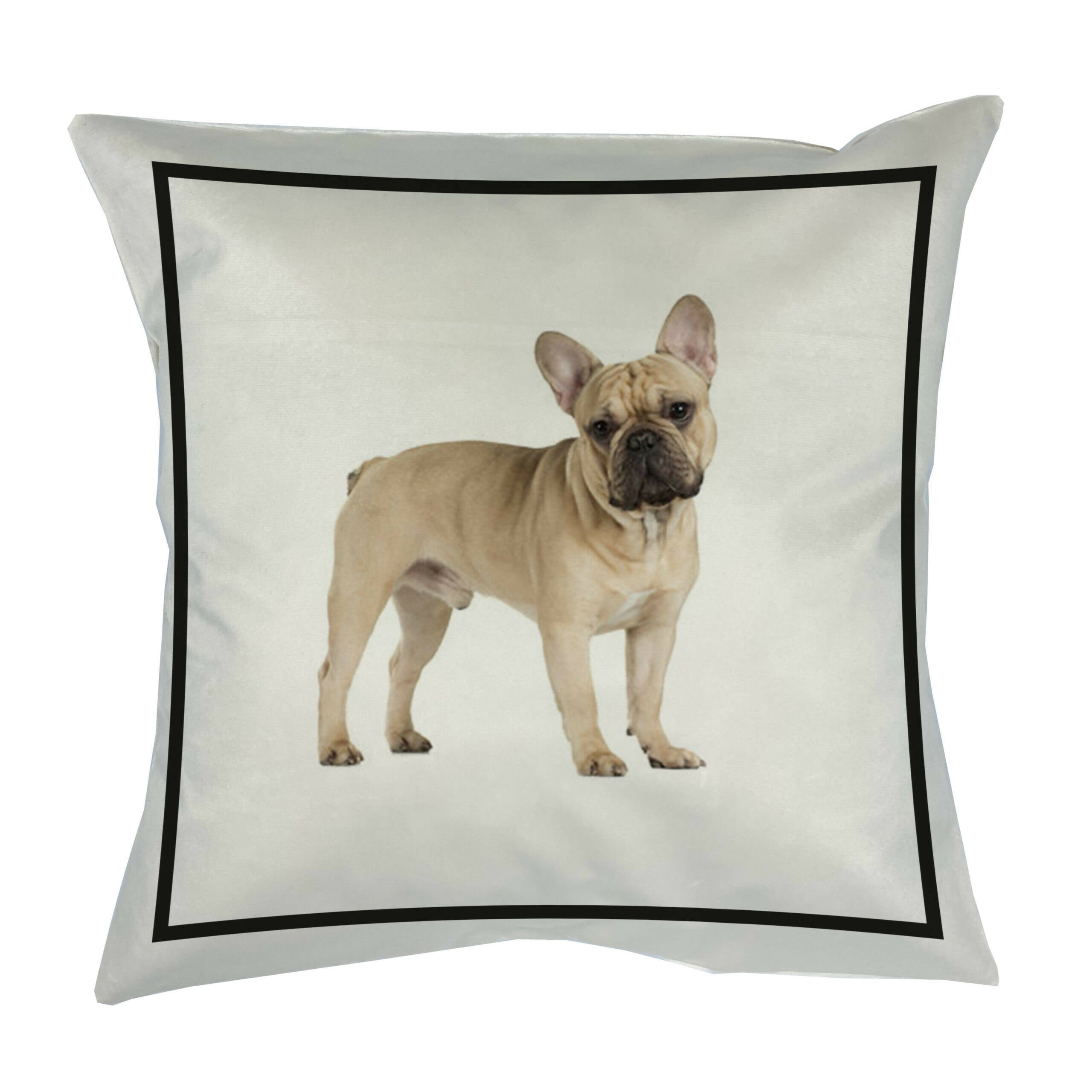Cojín Classic Bulldog Frances Beige, 45×45