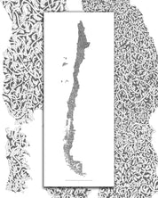 Chile Regenerativo - Lámina - Mappin
