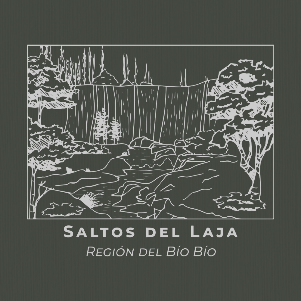 Polera Saltos del Laja Orgánica