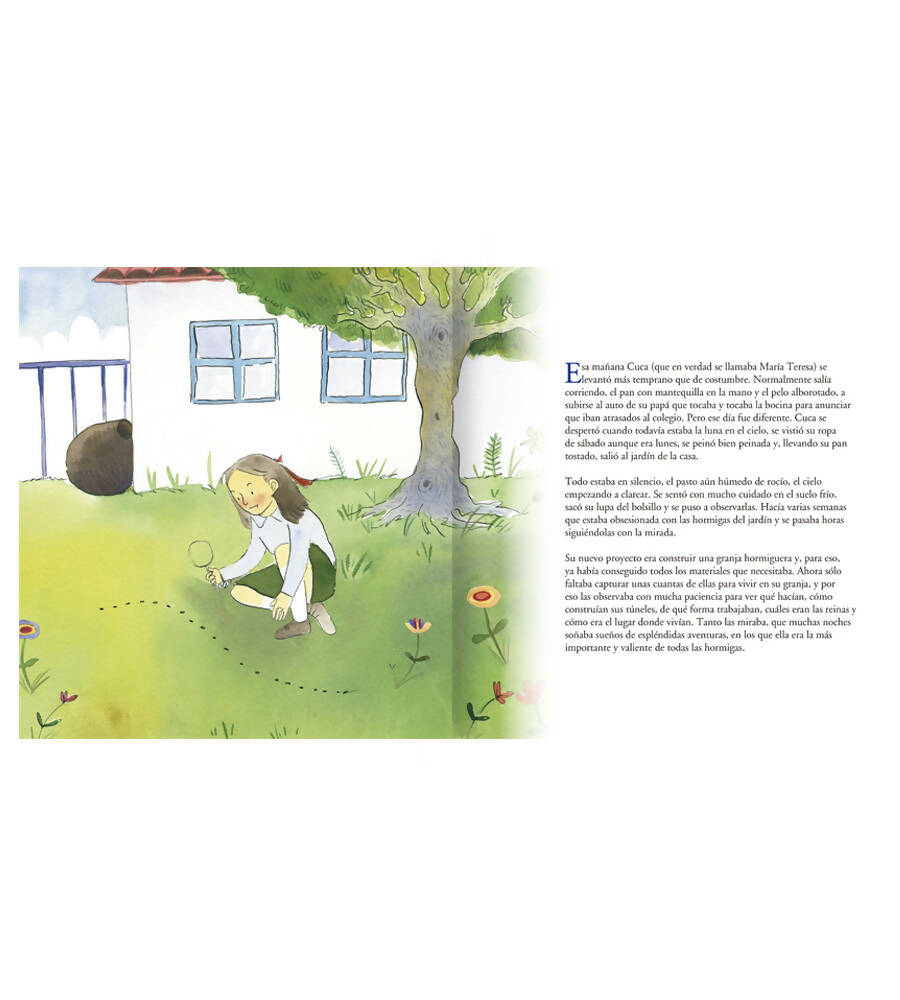 COLECCIÓN MUJERES CHILENAS