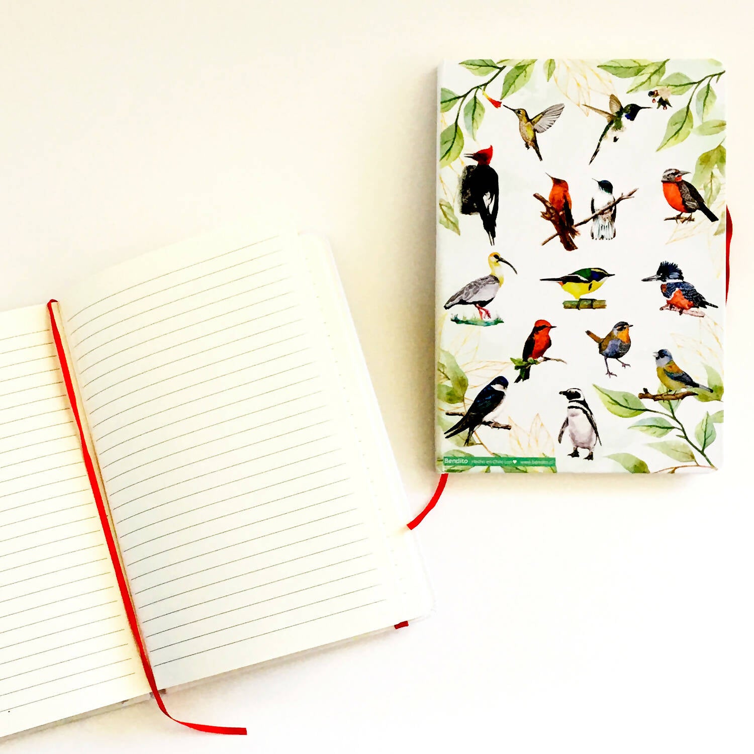Cuaderno Aves chilenas