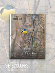 Sietecolores Arte Escala - Lámina