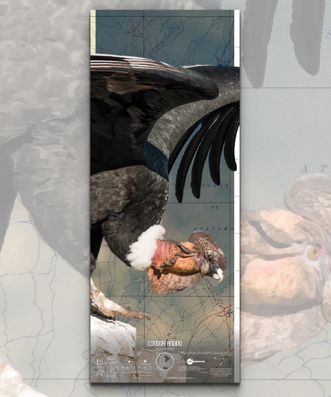 Cóndor Andino Arte Escala - Lámina - Mappin