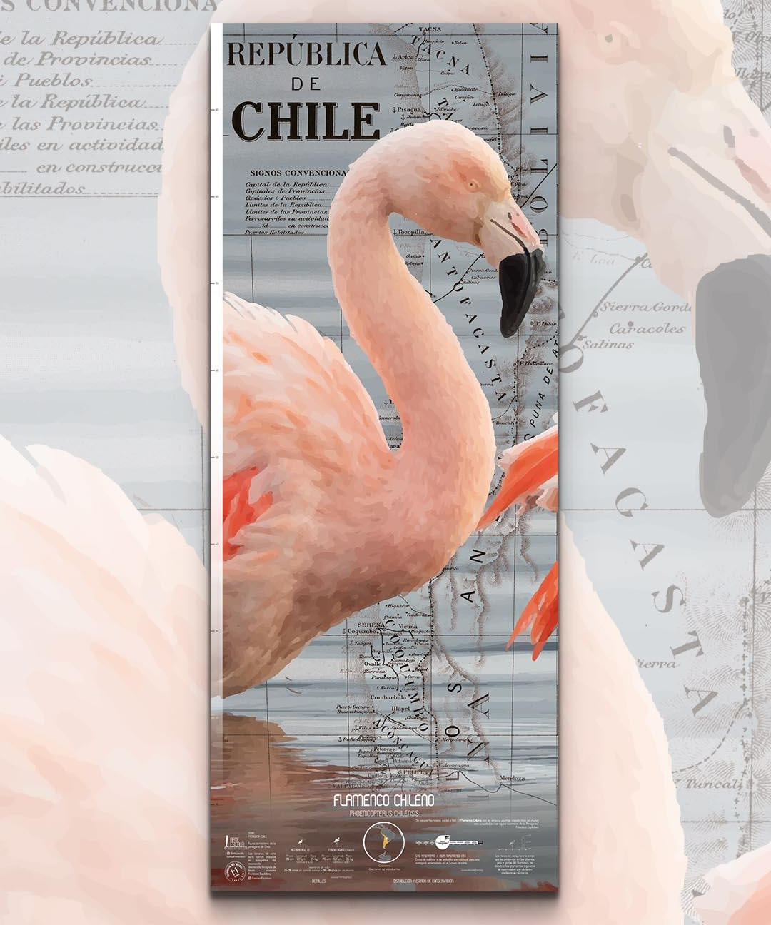 Flamenco Arte Escala - Lámina - Mappin