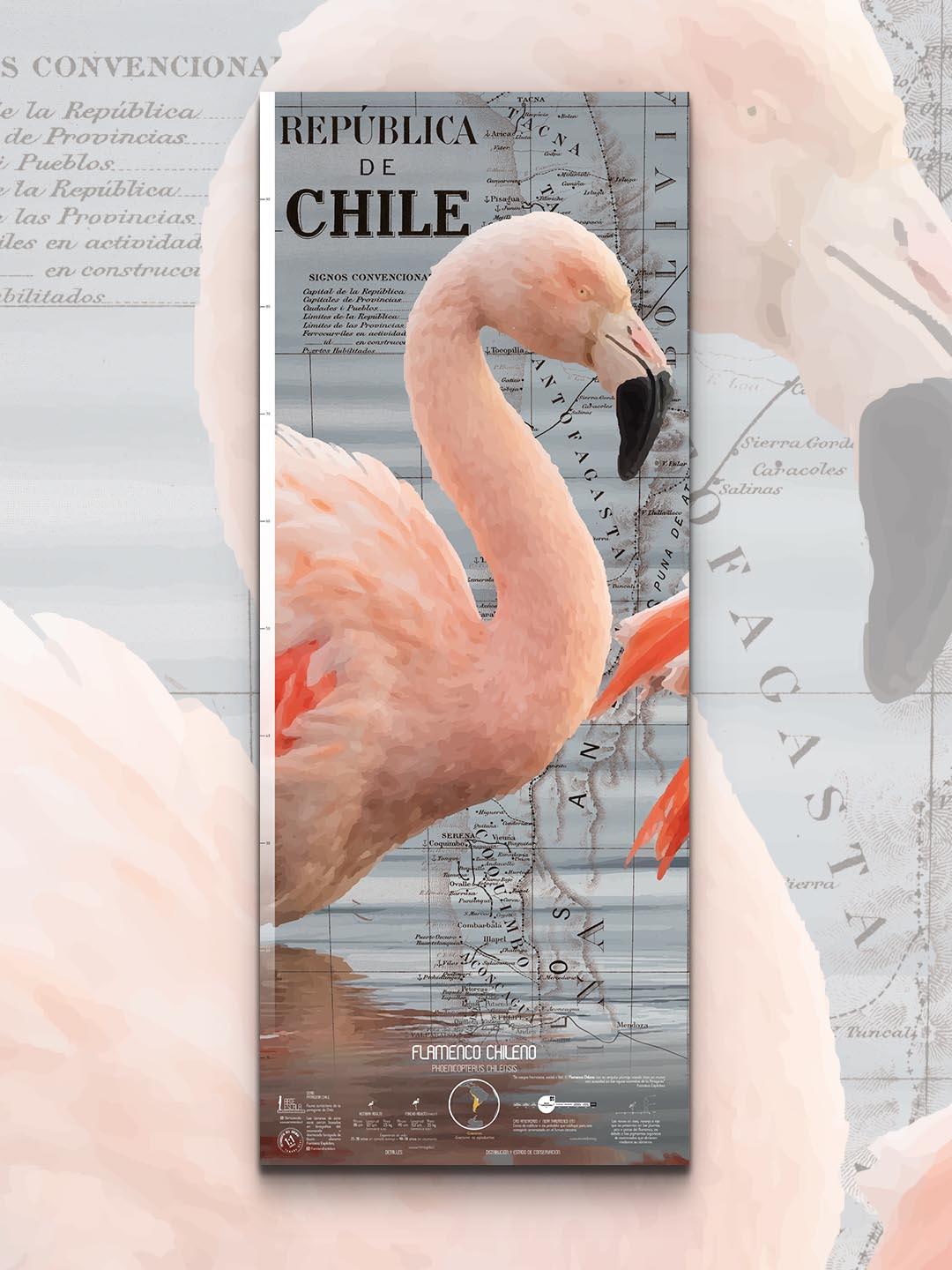 Flamenco Arte Escala - Lámina - Mappin