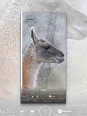 Guanaco Arte Escala - Lámina - Mappin