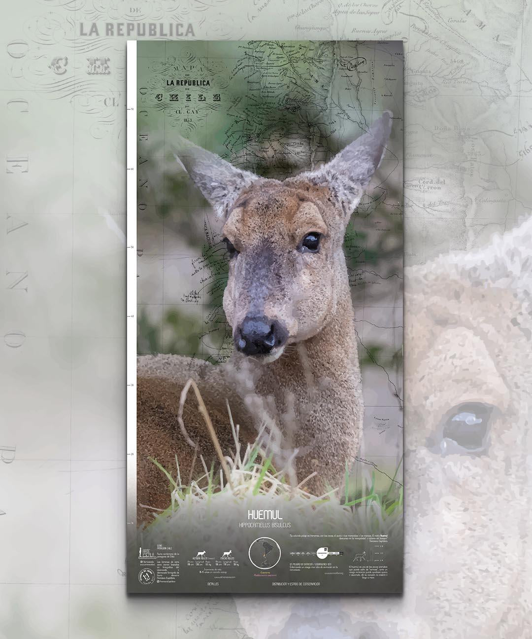 Huemul Arte Escala - Lámina - Mappin