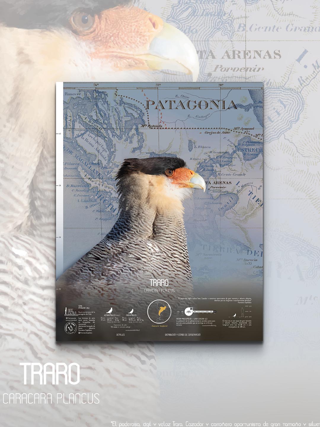 Traro Arte Escala - Lámina