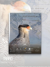 Traro Arte Escala - Lámina