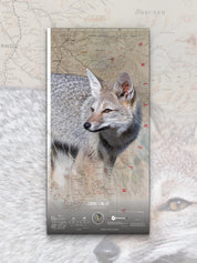 Zorro Chilla Arte Escala - Lámina