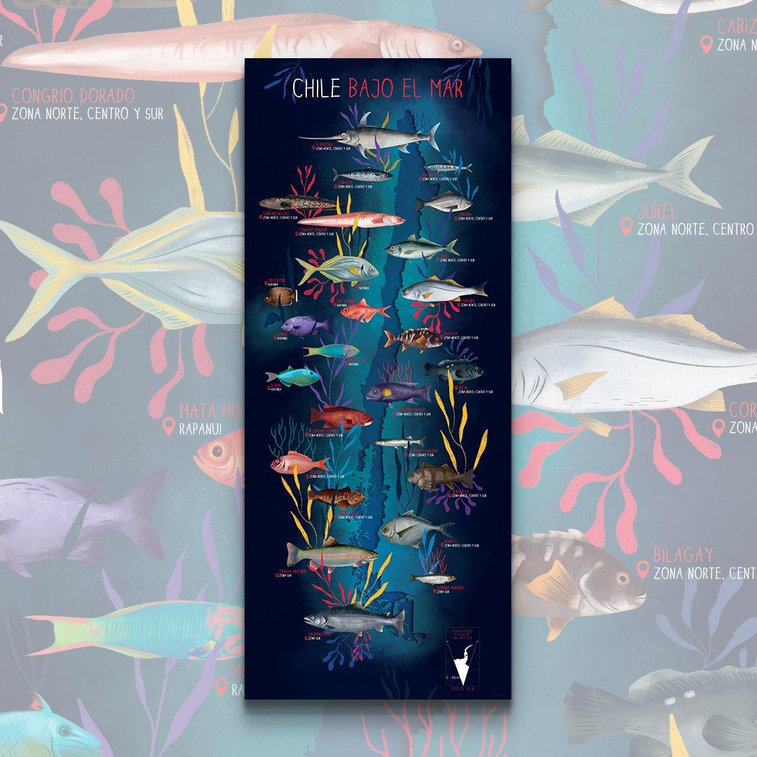 Mapa de Chile Bajo el Mar - Lámina - Mappin