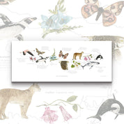 Mapa Chile en Movimiento - Lámina - Mappin