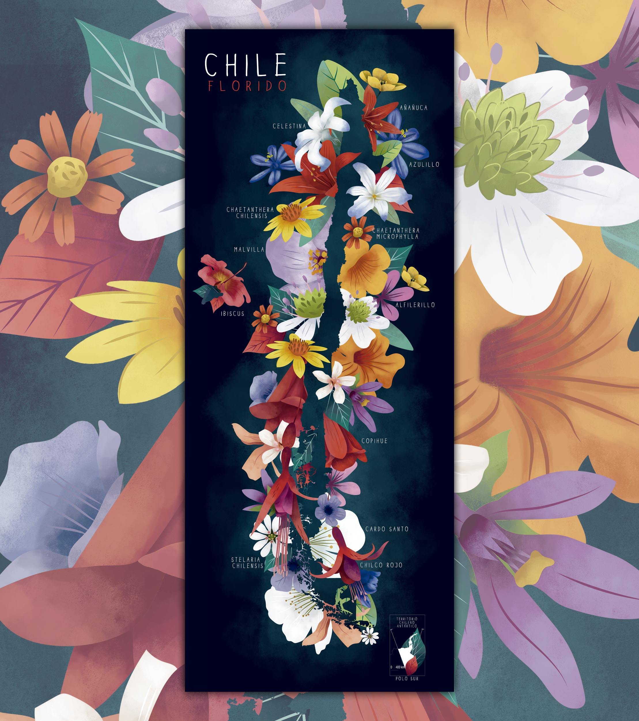 Chile Florido - Lámina - Mappin