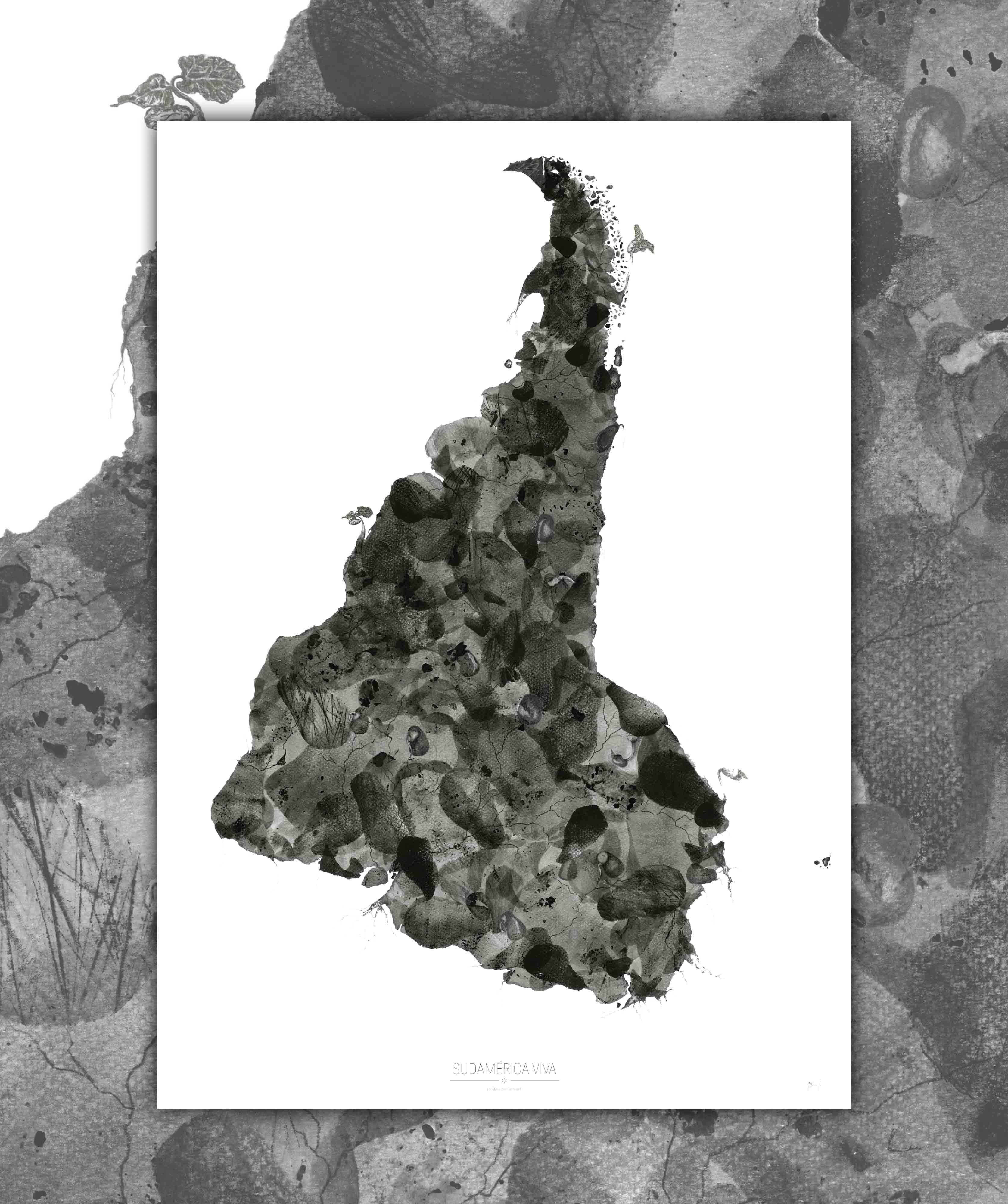 Sudamérica Viva - Lámina - Mappin