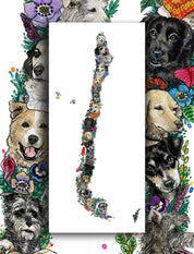 Mapa de Quiltros Chilenos - Lámina - Mappin