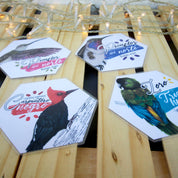 Juego Memorice: Aves de Chile