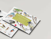 2da Edición Block de actividades aves de Chile - Creado en Chile