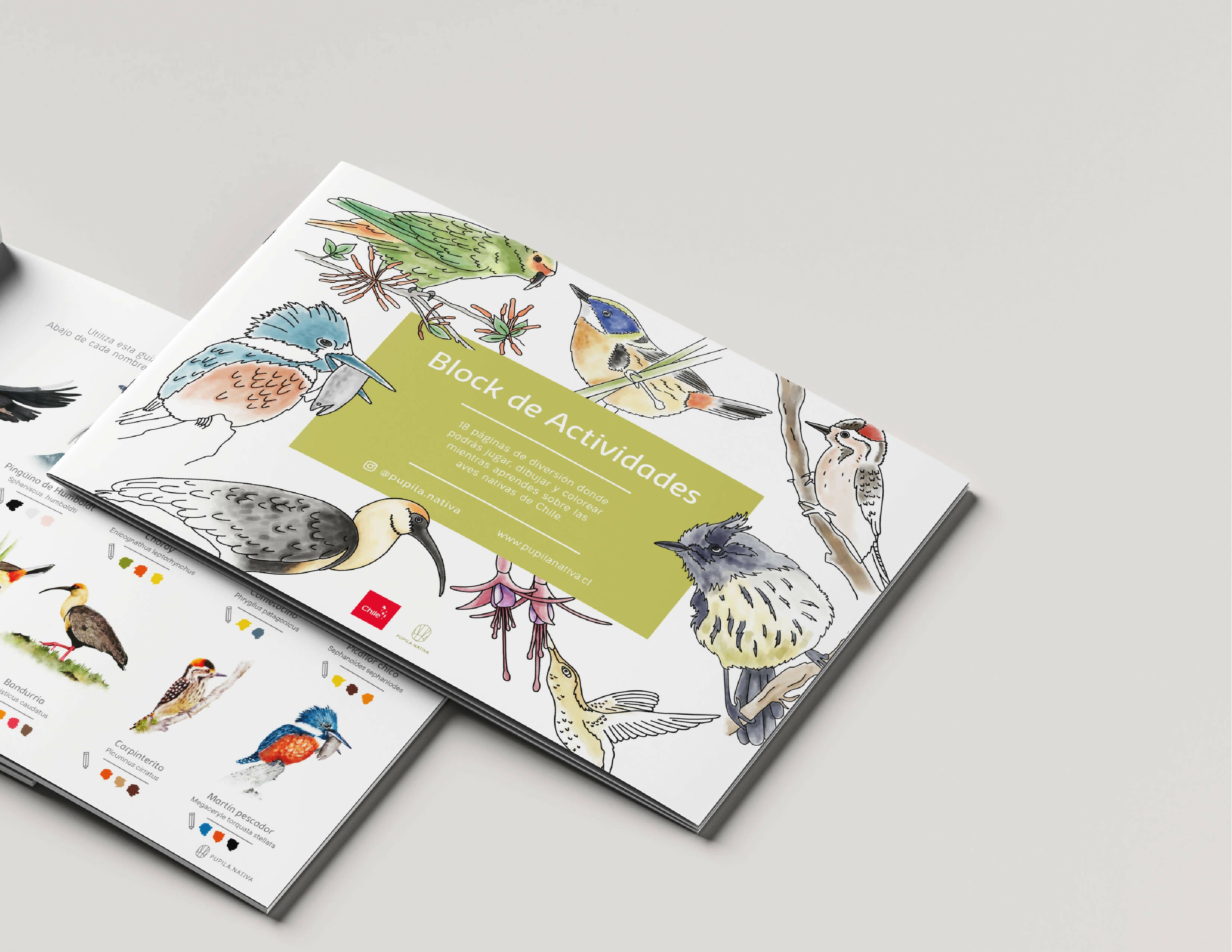 2da Edición Block de actividades aves de Chile - Creado en Chile