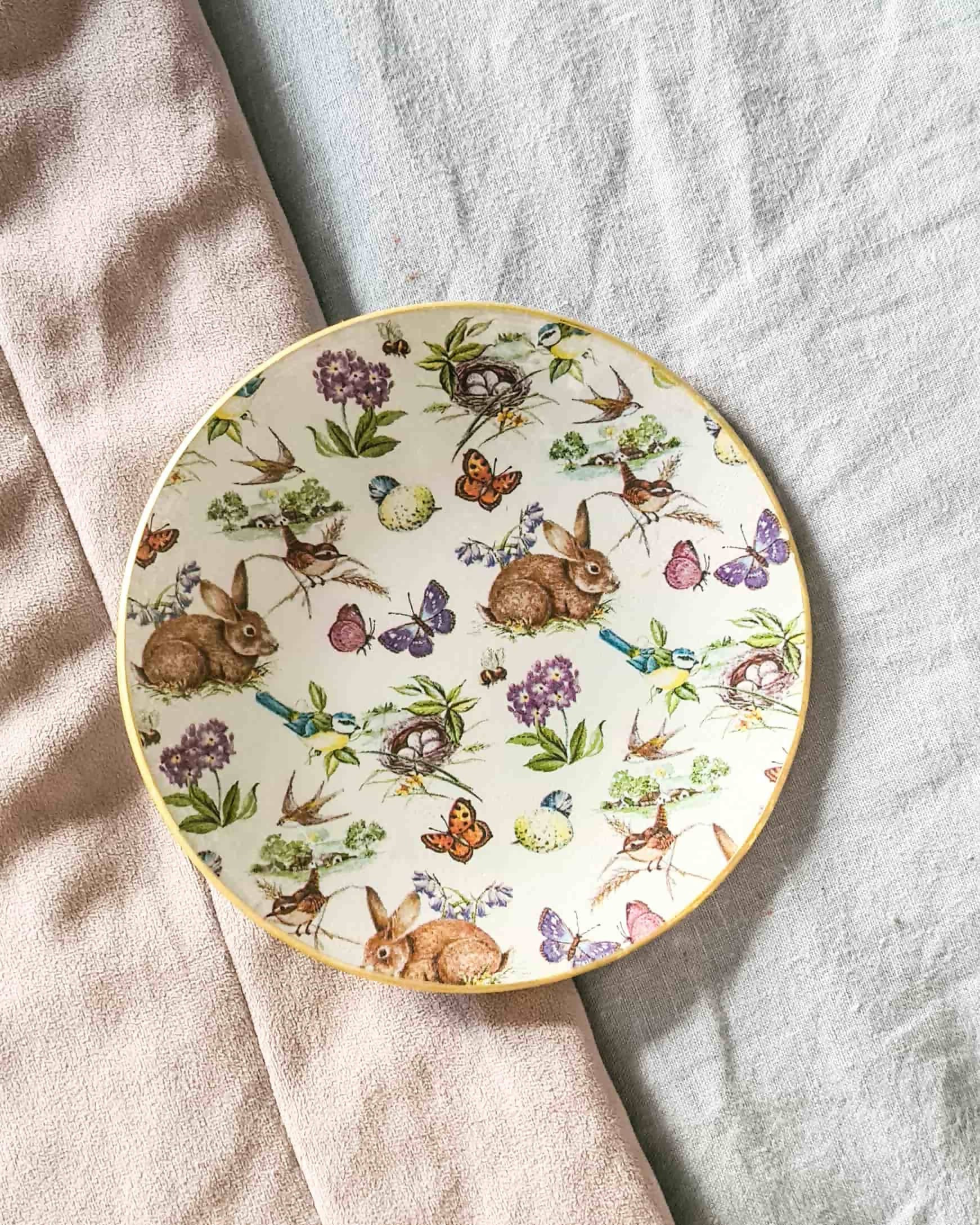 Plato Pan redondo, fiesta de conejitos