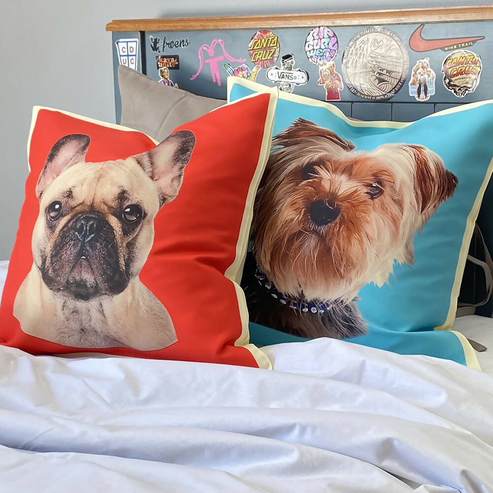 Cojín Color Yorkshire, 45×45