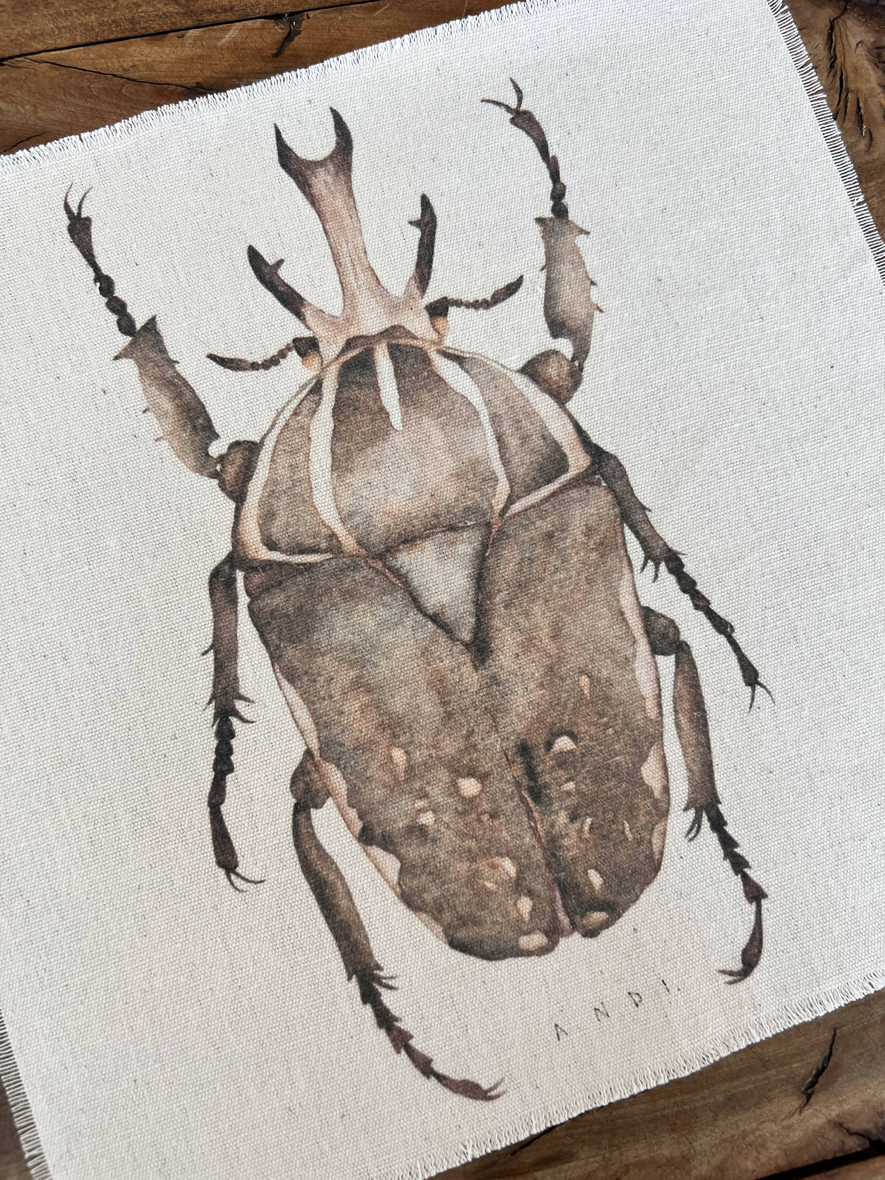 Escarabajo III
