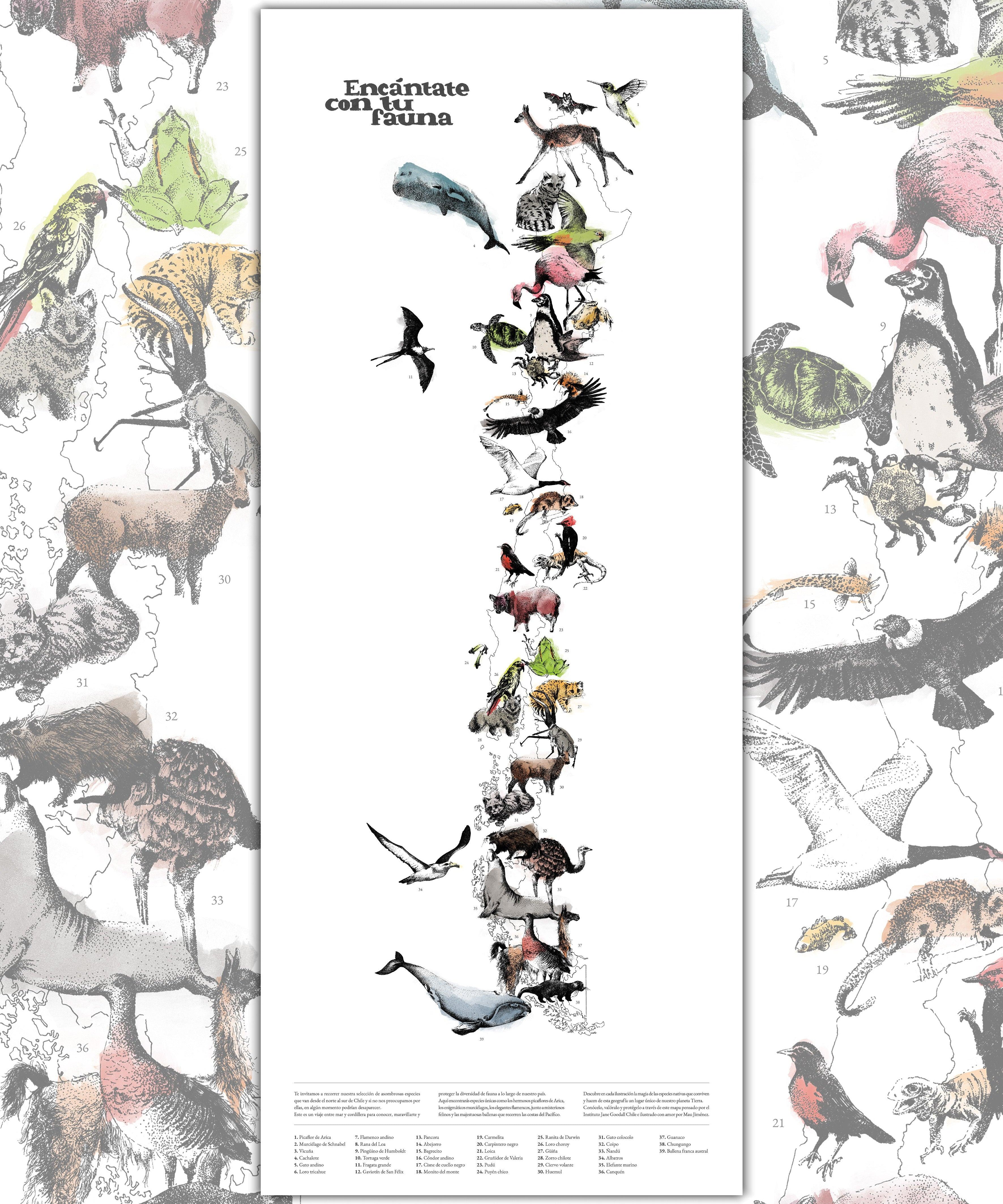 Mapa de Fauna Chilena - Lámina - Mappin