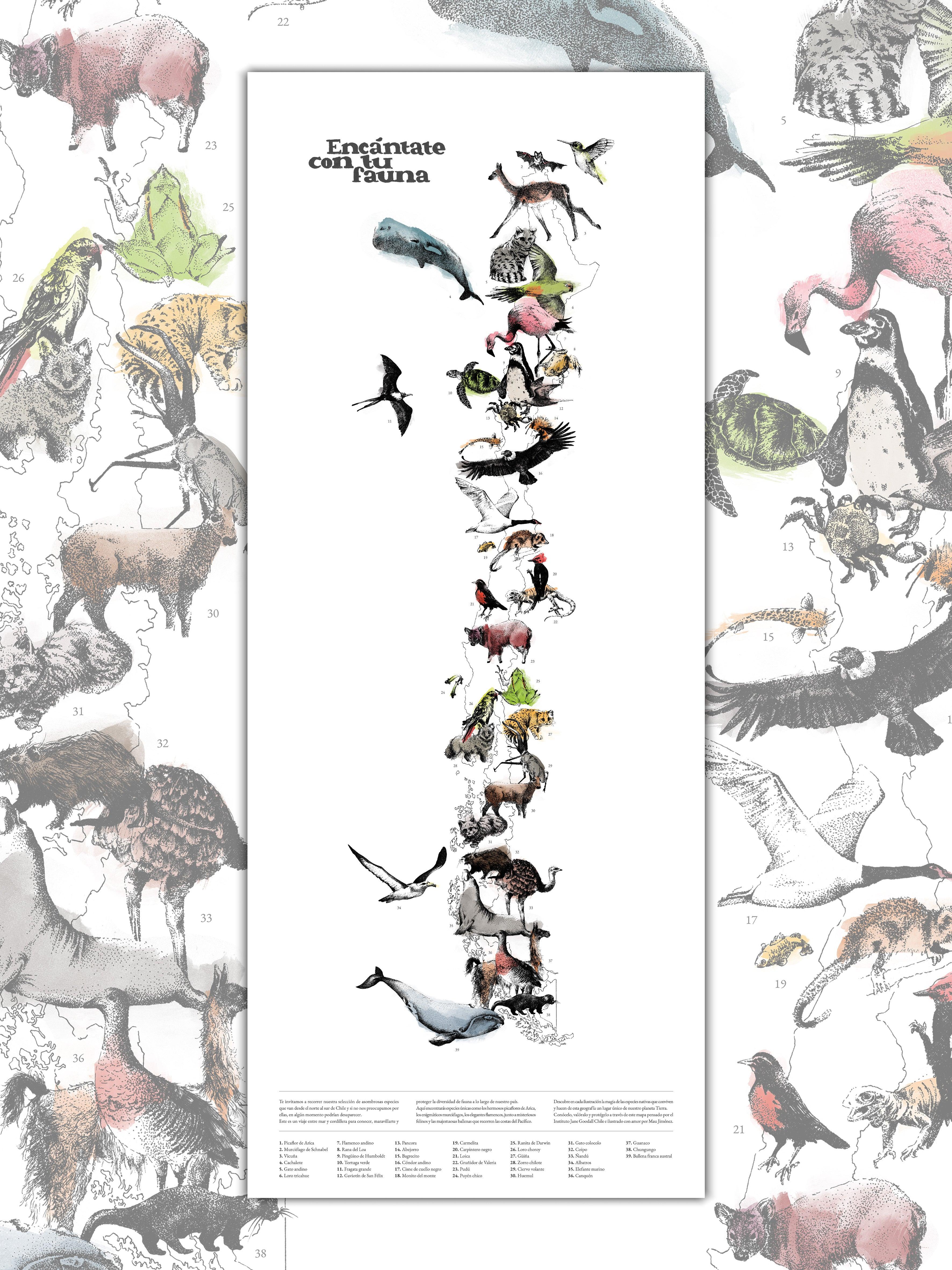 Mapa de Fauna Chilena - Lámina - Mappin