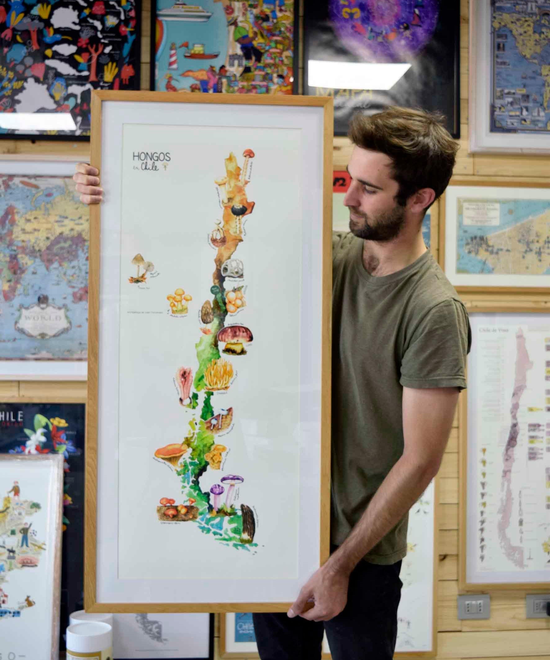 Mapa de Hongos en Chile - Lámina - Mappin