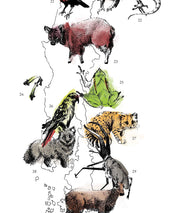 Mapa de Fauna Chilena - Lámina - Mappin