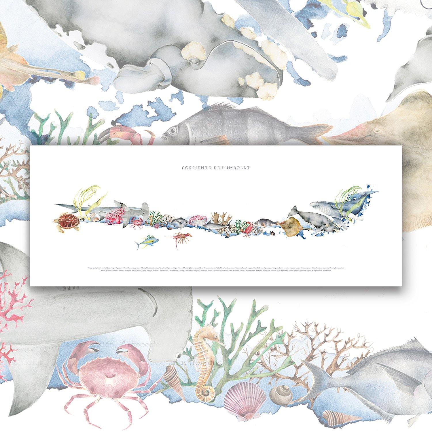 Mapa de Corriente de Humboldt - Lámina - Mappin