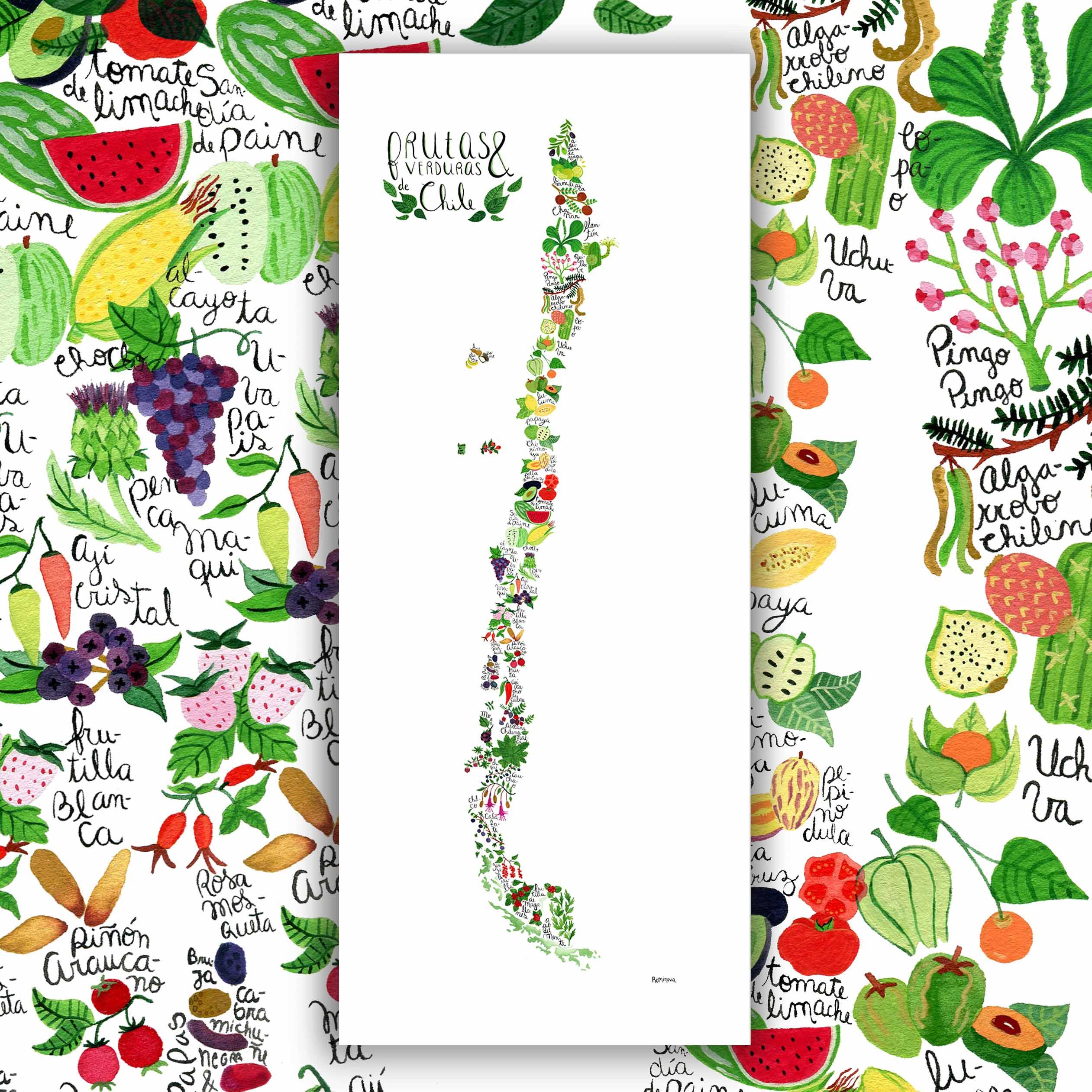 Mapa de Frutas y Verduras de Chile - Lámina - Mappin