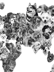 Mapa de Perros de Europa, África, Asia y Oceanía - Lámina