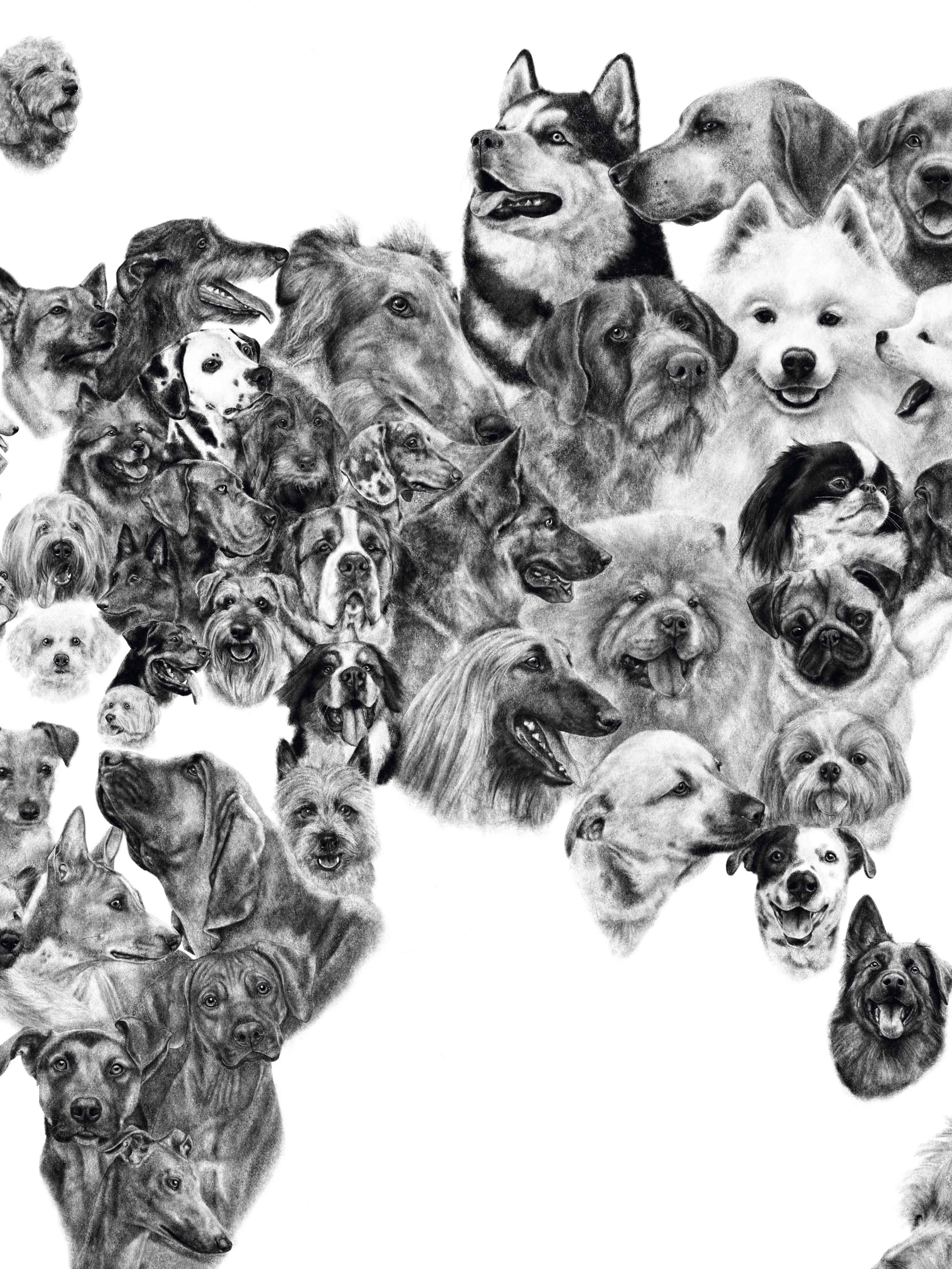 Mapa de Perros de Europa, África, Asia y Oceanía - Enmarcado A PEDIDO