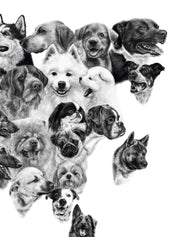Mapa de Perros de Europa, África, Asia y Oceanía - Lámina