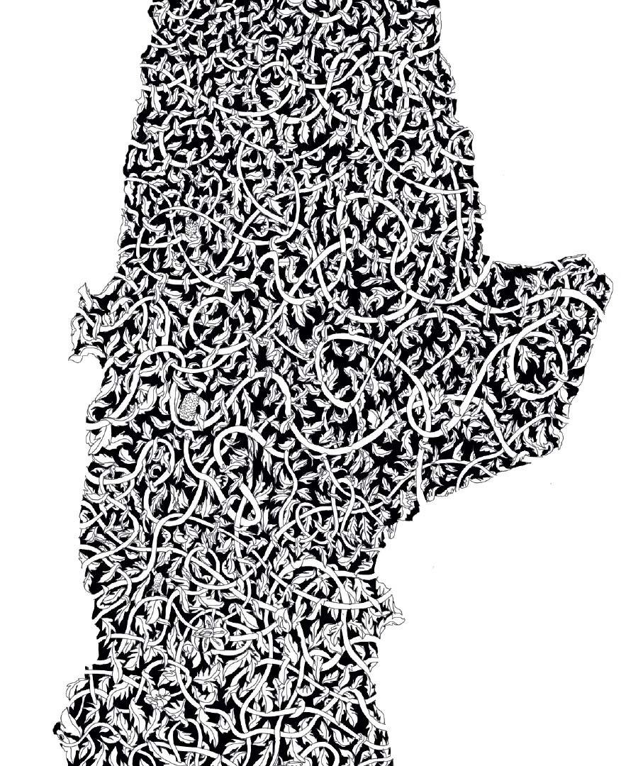 Chile Regenerativo - Lámina - Mappin