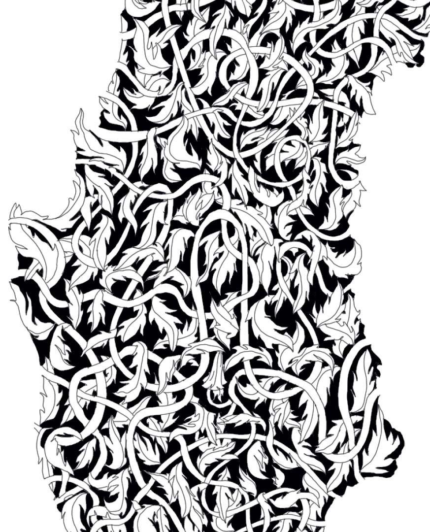 Chile Regenerativo - Lámina - Mappin