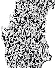 Chile Regenerativo - Lámina - Mappin