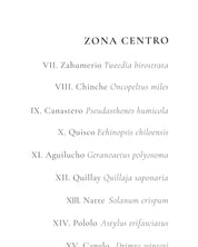 Mapa de Chile Relaciones Ecosistémicas - Lámina - Mappin