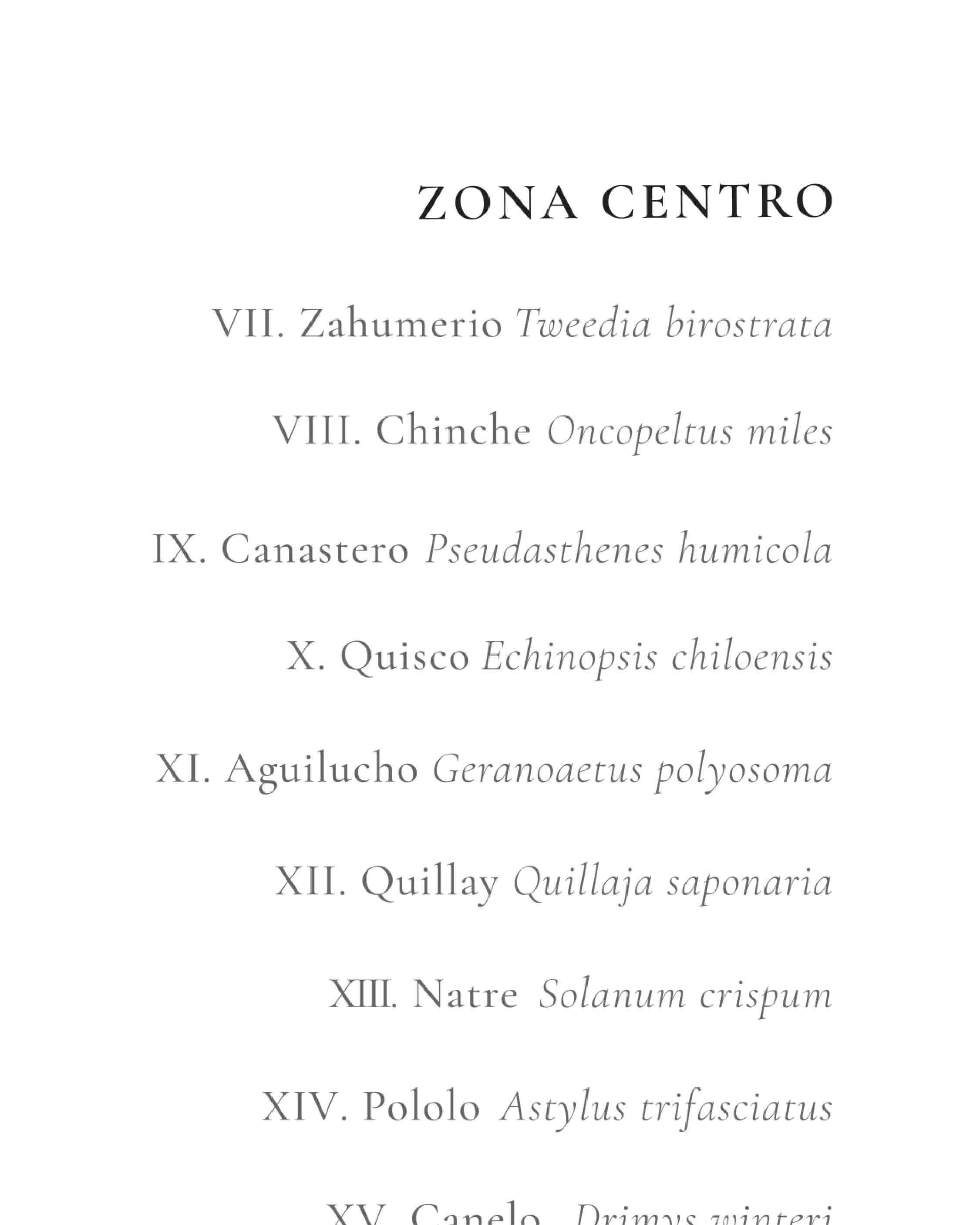 Mapa de Chile Relaciones Ecosistémicas - Lámina - Mappin