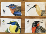 SET 4 INDIVIDUALES DISEÑO AVES II