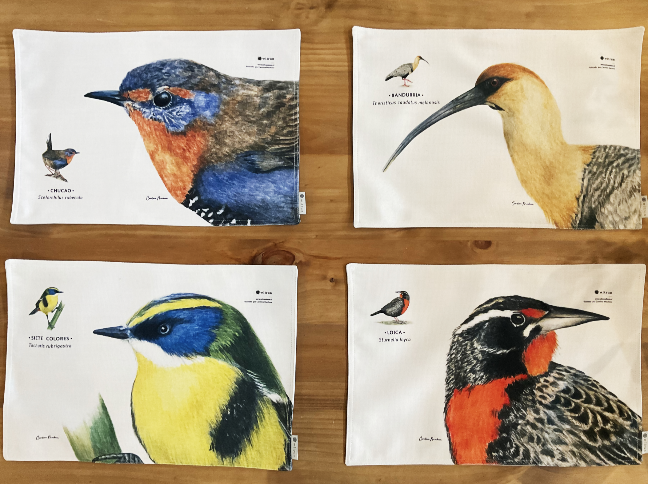 SET 4 INDIVIDUALES DISEÑO AVES II