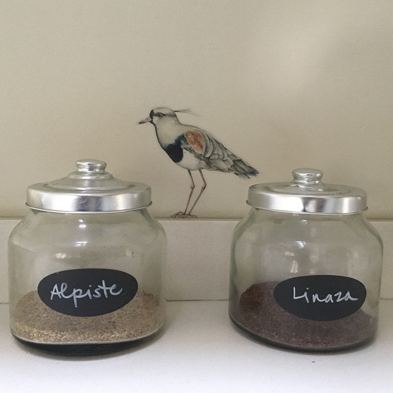 Autoadhesivo - Bandurria