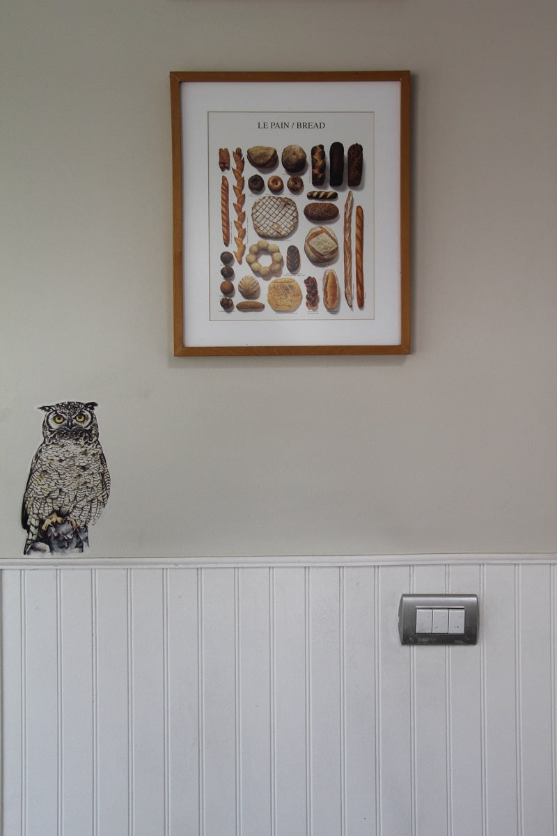 Autoadhesivo - Bandurria