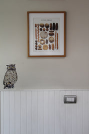 Autoadhesivo - Bandurria