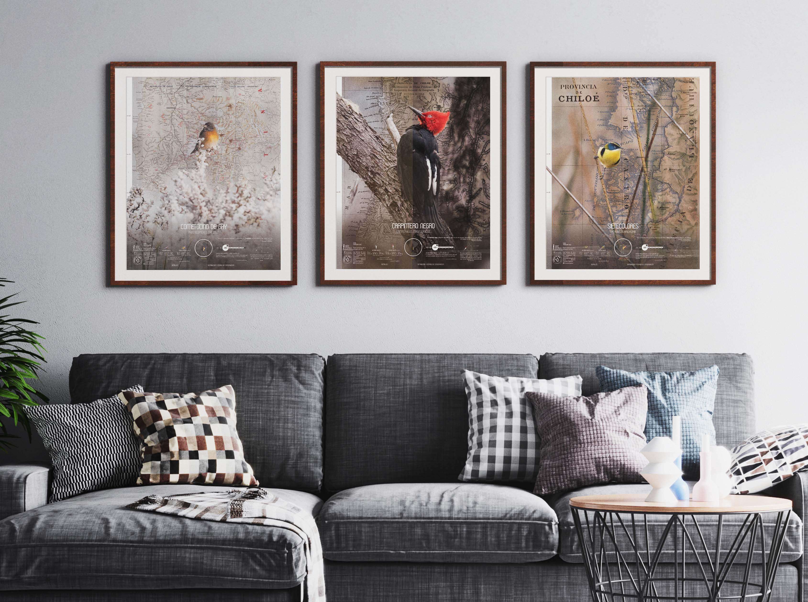 Cometocino Arte Escala - Lámina - Mappin