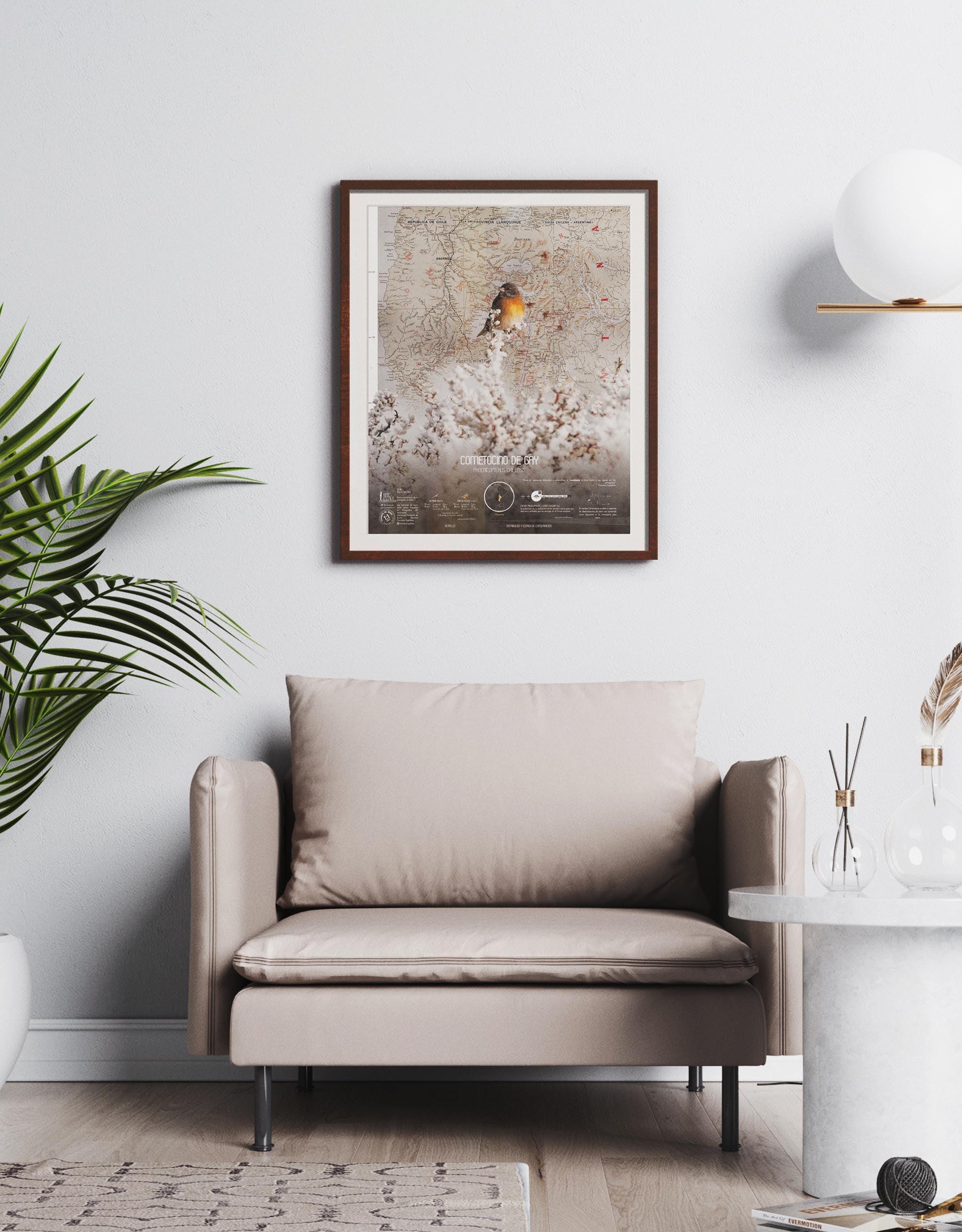 Cometocino Arte Escala - Lámina - Mappin