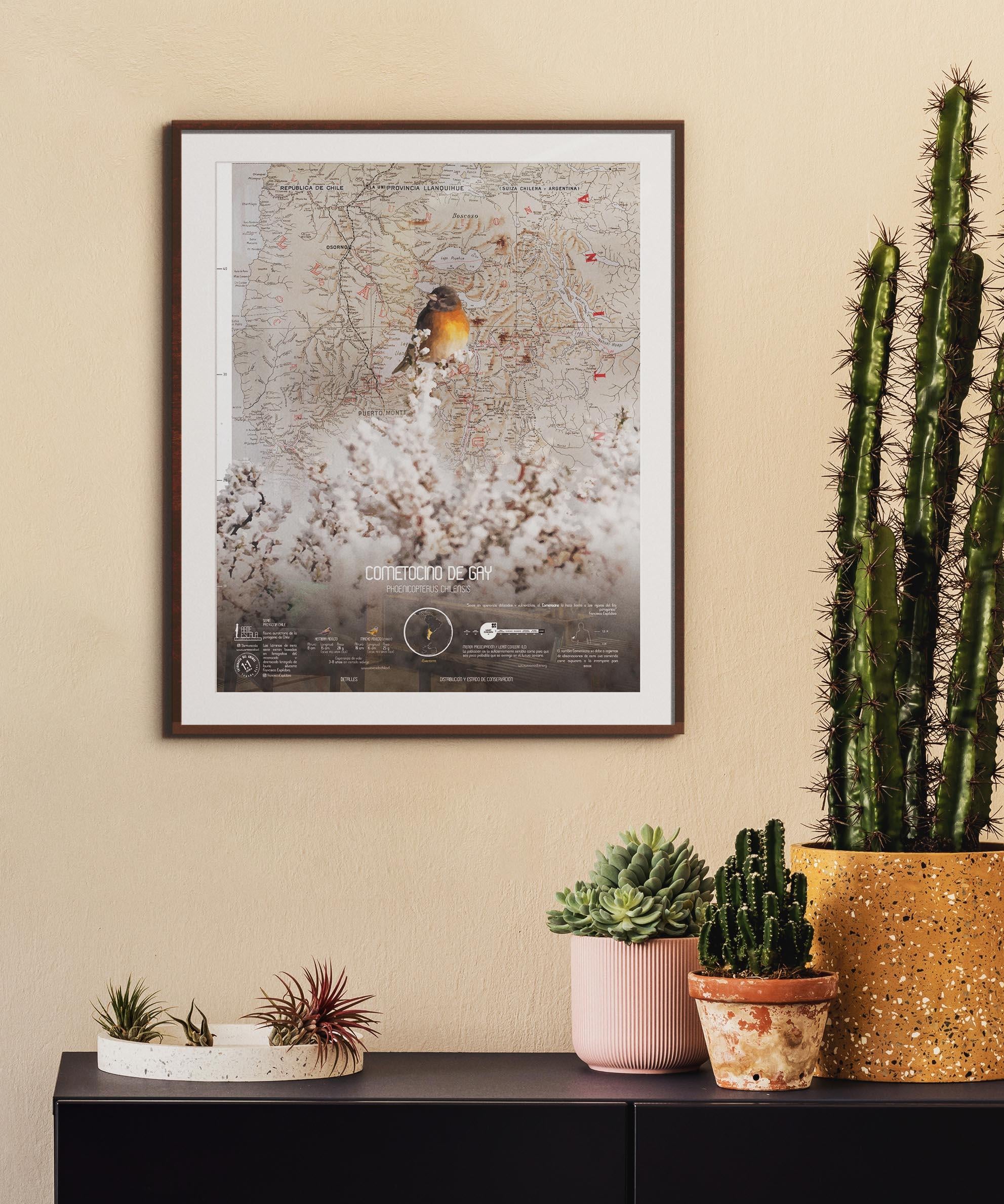 Cometocino Arte Escala - Lámina - Mappin