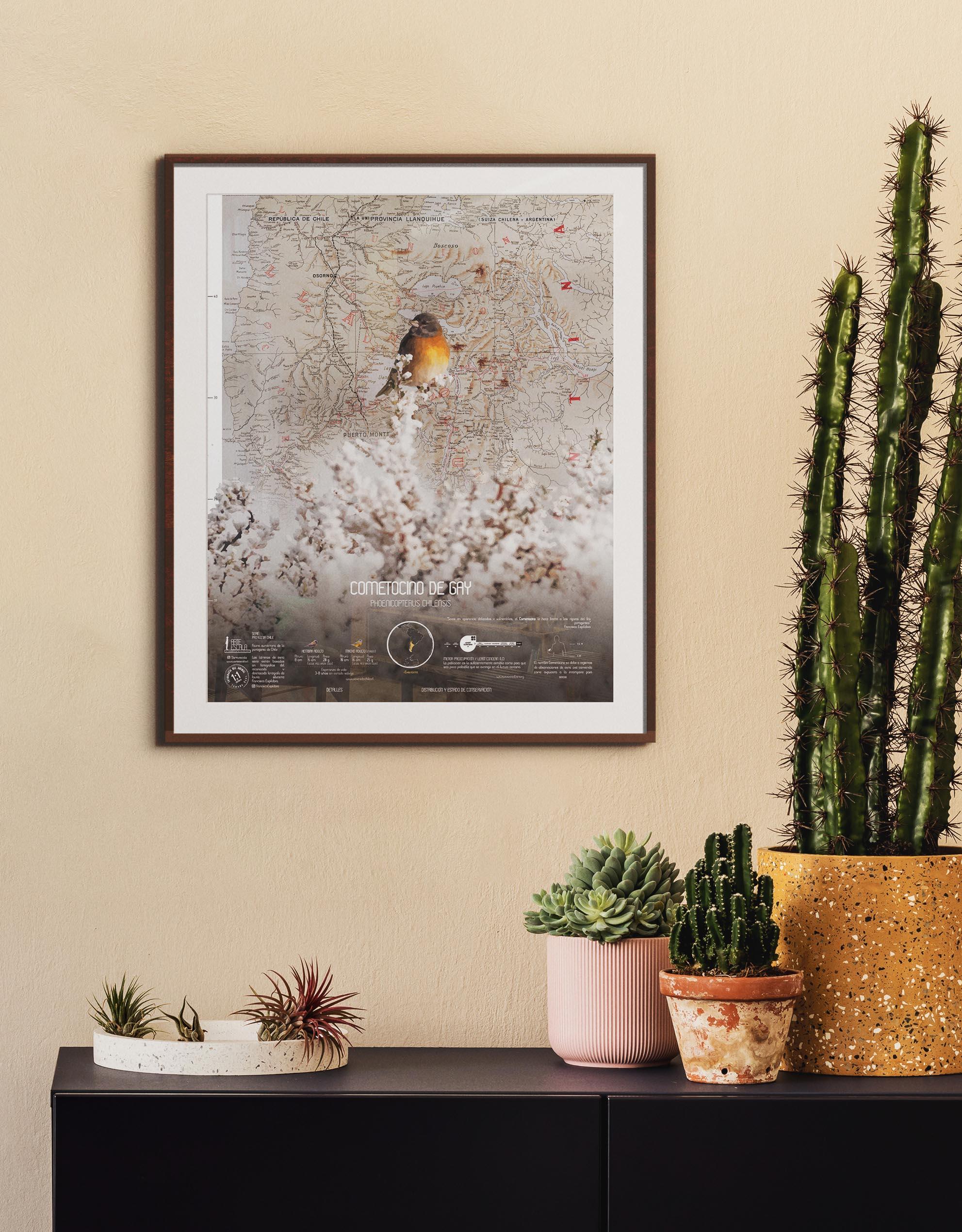 Cometocino Arte Escala - Lámina - Mappin