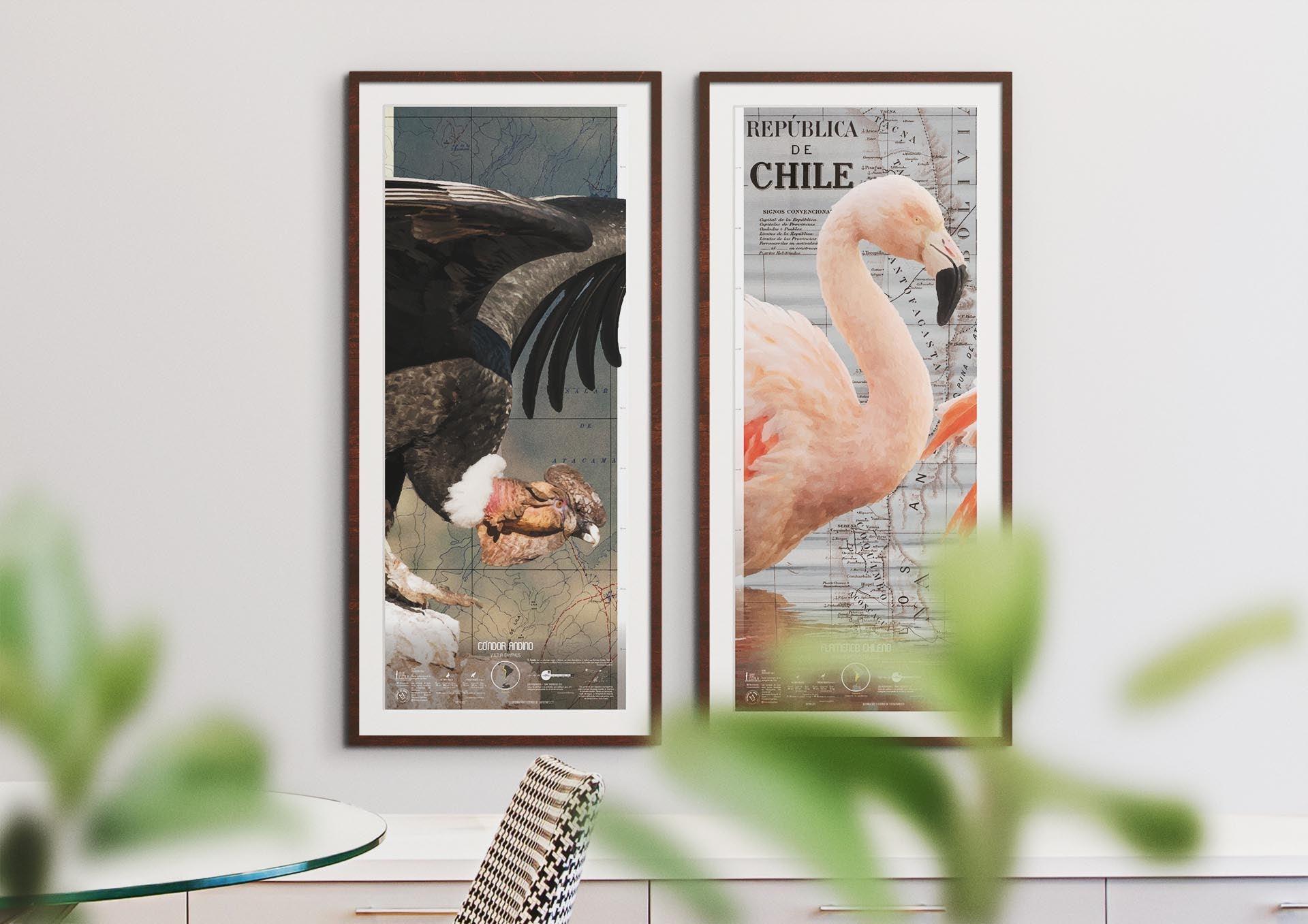 Flamenco Arte Escala - Lámina - Mappin