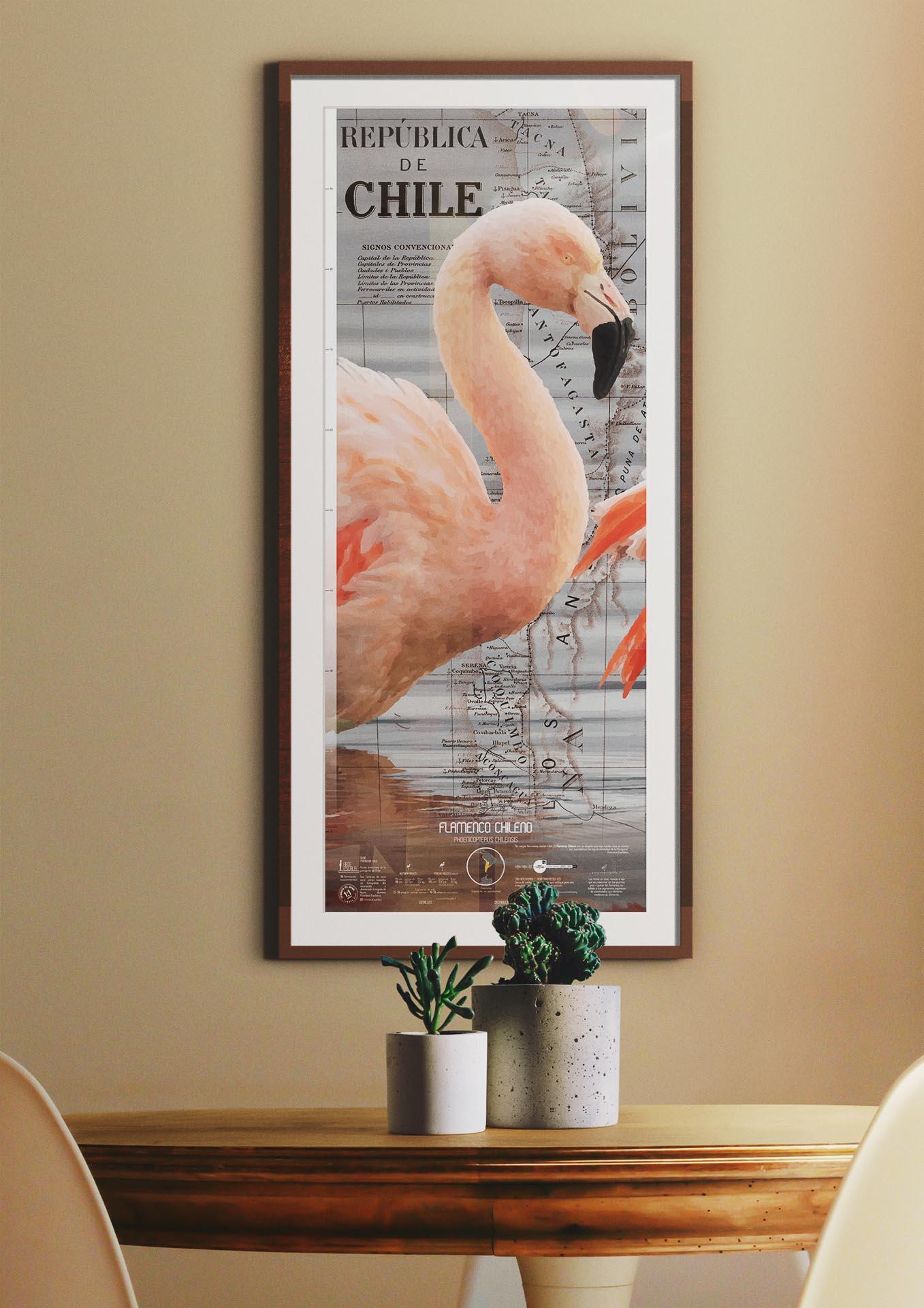 Flamenco Arte Escala - Lámina - Mappin